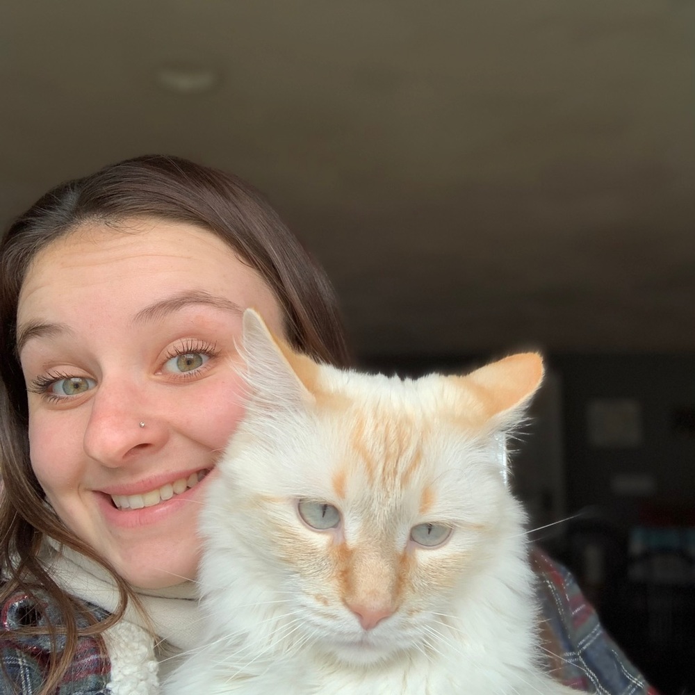 Introducing Me 😊 - Picture 2 of 7